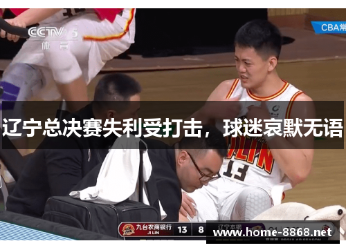 辽宁总决赛失利受打击，球迷哀默无语